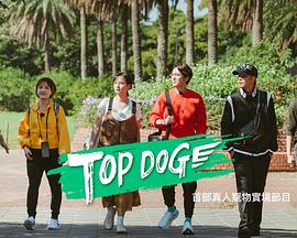 骚虎视频《TOP DOG》免费在线观看