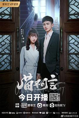 魅影直播《喵不可言》免费在线观看