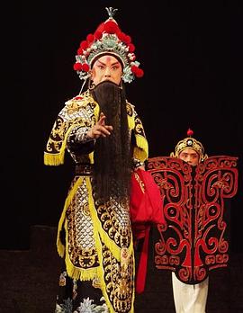 魅影直播《袁崇焕2009》免费在线观看