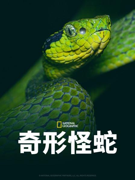 魅影直播《奇形怪蛇》免费在线观看